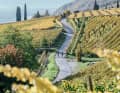 In Südtirol ­befinden sich ­einige der schönsten Weinregionen überhaupt – ideal für Radfahrer.