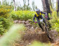 Folhadal-Trail auf Mallorca
