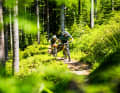 Deutschlands höchstes Mittelgebirge ist ja eigentlich das Land der verbotenen Trails. Nur hier nicht. Das fällt einem zwischendrin immer so ein, während man hier entspannt durch den Wald cruist.