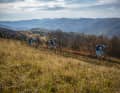 Alles legal: Anders als im Schwarzwald können sich Biker in den Vogesen nach Lust und Laune austoben. Der Revier-Guide ab Seite 102 