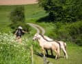 Es hat leider Gründe, warum die Wiesen in der Eifel auch im Sommer sattgrün sind: Es regnet häufig.