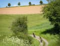 Die Wiesenwege dienen der Erholung, bevor es schon wieder in den nächsten Trail-Abschnitt geht.