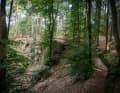 Die Schieferwände im Wald sorgen für Fahrspaß und Extra-Höhenmeter.