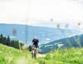 Gravelbiker erwarten beim Gravel Peaks 2026 satte Almwiesen, sportliche Anstiege und traumhafte Panoramen.