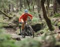 Auf dem Trail mit dem Rockrider E-Feel 700 S