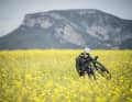 Endlich: Frühling! Wheelie im Raps: Bike-Abenteurer David Cachon.