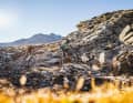 Alpines Gelände ist nur was für All Mountains oder Enduros? Pustekuchen! Auch die sportlicheren Kandidaten aus  der 130-Millimeter-Liga kommen mit etwas Geschick bei der Fahrtechnik mit den technischsten Trails zurecht.