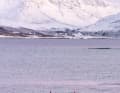 45 Days SUP Norwegen