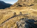 Spaßig auf der Hausrunde oder souverän in alpinem Gelände? Die Trailbikes zwischen 4000 und 5000 Euro finden sich zum Großteil in beiden Szenarien gut zurecht.