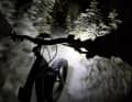 Speziell in der futterkritischen und für das Wild stressigen Winterzeit sollten Biker auf Nightrides verzichten.