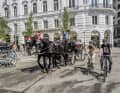 Alternative zum Drahtesel ist eine Fahrt in einem Fiaker, den für Wien typischen Pferdekutschen.