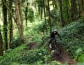 Grünes Paradies: die Sintra-Trails in Portugal waren das ideale Testgelände. Hier kurvt Testfahrer Dimi durch loamy Trails – herrlich!