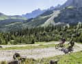 Die Schotterkehren von der Falkenhütte über den Hochalmsattel zum Karwendelhaus machen nur mit dem E-MTB wirklich Spaß.