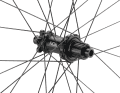 ... wahlweise mit Shimano Microspline Freilaufkörper - wie hier - oder auch HG sowie Srams XD.