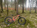 Das Trailbike Scor 4060 in seinem natürlichen Habitat.
