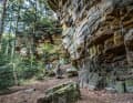 Auf dem Singletrail im Mullerthal. Ein schmaler Felsenpfad führt am Steilhang entlang des Sauertals in Richtung Berdorf. Für gute Biker ist der Trail leicht befahrbar, für Anfänger grenzwertig, da schmal, teilweise ausgesetzt und mit Steinen und Felsbrocken übersät.
