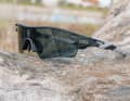 Eyerex eShades: Neue Sonnenbrille mit innovativer Scheiben-Technologie 