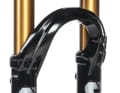 Fox 38 Factory e-opt. 29 Zoll