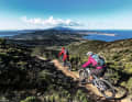 Wie eine grüne Perle liegt Elba mitten im Tyrrhenischen Meer. Die Berge auf Elba sind nciht fuchteinflößend hoch, aber die Anstiege sind bissig steil, und auch die Abfahrten zeigen Zähne - perfekt für ausgiebige Ausflüge mit E-Unterstützung.