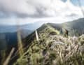 Die Alta Via dei Monti Liguri zieht sich wie ein roter Faden durch den Hauptkamm der Ligurischen Alpen. Wir zweigen nur für landschaftliche Highlights und Supertrails ab.