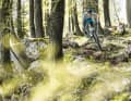 Test 2019: E-All-Mountain-Bikes im Trailpark