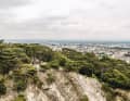 Am Rande der Großstadt: der Wienerwald bietet eine Fülle an Trails und Pfaden für E-Mountainbiker, meist im Wald. Immer wieder geben die Bäume den Blick auf Österreichs Hauptstadt frei, wie hier oberhalb von Mödling.