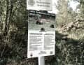 Im Trentino kommt es selten zu Begegnungen zwischen Mensch und Braunbär. Aber wenn, dann fanden diese oft rund um Terlago statt.