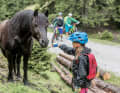 "Papaaa, schau maaal!", flötet Milla, und schmiegt sich schon mit verträumter Miene an das Pony, das malmend am Wegesrand steht. Die Laune meiner Tochter ist gerettet.