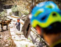 Freerider trifft Freerider: Die kroatischen Trails sind teilweise so felsig, dass man sich eher Hufe als Gummireifen wünscht.