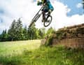 Bergamont Straitline 7.0