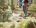 Experten-Trail am Ochsenkopf (Etappe 2). Es gibt aber leichtere Umfahrungen.