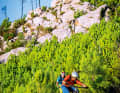 Trail durch lichten Kiefernwald im Apennin. An besonders klaren Tagen reicht der Blick gen Norden bis zum Matterhorn im Alpenhauptkamm.