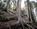 Auf Trails durch die Republik. Der zweite Teil der Deutschland-Trail-Serie führt in den Norden.