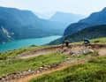 Der Big Hero bei Molveno. Links: Peter Pan im Bikepark am Passo Santèl. Auf diesen beiden Trails feiern auch Einsteiger Erfolgserlebnisse. 