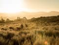 Südafrika: MTB Trailparks – Spotguide Stellenbosch