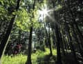 Rein optisch ist der Teutoburger Wald eher ein unauffälliges Mittelgebirge. Aber seine vielseitigen Natur-Trails sind Programm: Schweden-Trail, Weihnachtsbaum-Trail, Flauschi-Trail, Rote-Bank-Trail …