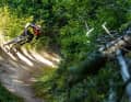 Zwanzig Kilometer gebaute Trails gibt es im Borovets- Bikepark. Das reicht für ein Mehrtagesprogramm.