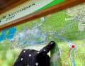 Das erste Stück der Etappe schlängelte sich durch den Nationalpark Eifel. Frisch war's in der Früh noch.