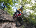 Laufruhe satt. So lang sich das Terrain nicht in einen Rockgarden aus dem Downhill-Worldcup verwandelt, liegt das Occam sicher und ruhig auf dem Trail.