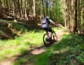 Ein spaßiger, kurzer Trail im Bröltal vor Ruppichteroth.
