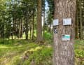 Das weiße Kreuz auf schwarzem Schild leitete mich viele Kilometer der vierten Etappe.