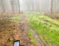 Der Trail vom Sange runter war matschig und teils mit umgefallenen Bäumen versperrt.