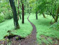 Ein Bild von einem Trail - im Dilltal zwischen Dillenburg und Herborn.