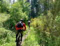 Ritchie und Thorsten auf einem der langen Singletrails den Großen Feldberg hinauf – hmm, ein Genuss. Wenn bergauf, dann am liebsten so.