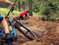 Die handgeshapten Trails tragen den offiziellen Flowtrail-Orden der DIMB.