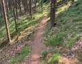 Ein Trail kurz vor einer Blockhütte.