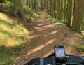 Auf dem Nurtschweg Richtung Dylen. Die Tipps zur Route stammen von Matthias von MTB-Oberpfalz, der sich in der Region auskennt wie kein Zweiter.