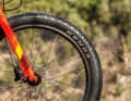 Cannondale Cujo 24 Ltd: Mit minimalem Luftdruck bieten die 2,6 Zoll fetten Reifen erstaunlich viel Komfort.