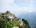 Reizüberflutung: Vom Gipfel des Monte Zugna blickt man übers Etschtal bis zum Monte Baldo und gen Süden bis zum Pasubio – außer, der Dunst hängt in den Felswänden. Dann sieht man nur bis zum Monte Finonchio hinüber. Doch der steckt auch voller lohnenswerter Trails.
