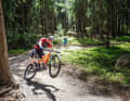 Trailbikes sollen Touren-Fahrer bergauf und bergab gleichermaßen glücklich machen. Für 2700 Euro zaubern aber nur drei von neun Test-Bikes ein breites Strahlen auf die Gesichter der BIKE-Tester. Unser Test im Trailcenter Lipno deckt die Stärken und Schwächen dieser Kategorie auf. (Im Foto: Max Schumann